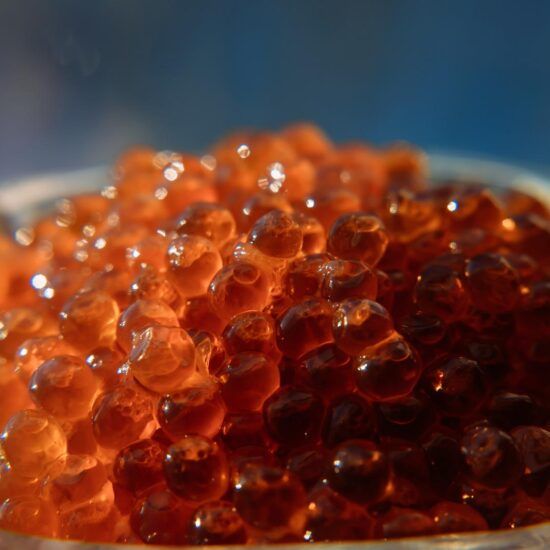 SALMON CAVIAR VOLCANO (2 UNITS)